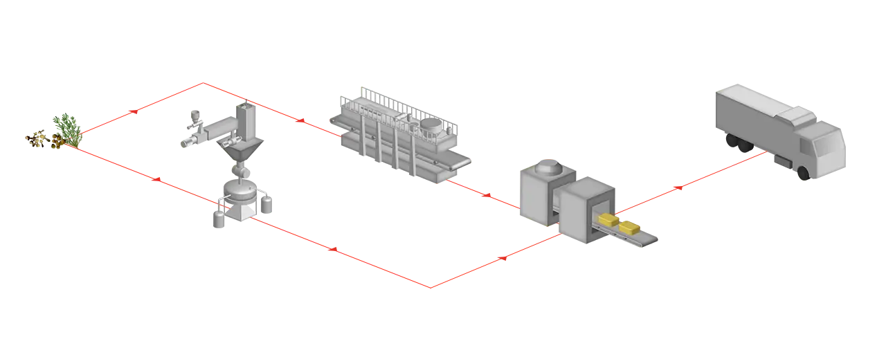 producción de especias y hierbas aromáticas